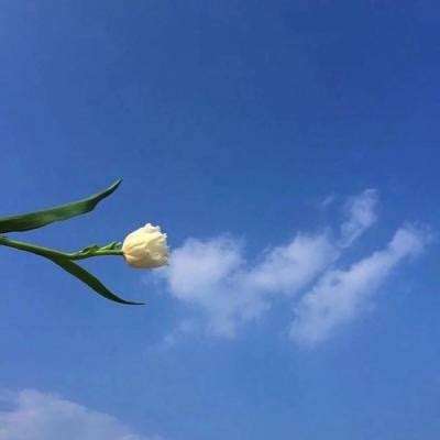 不朽仙尊游戏